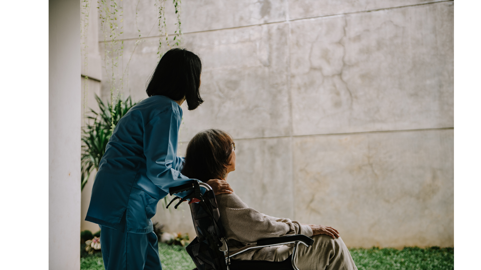 Medication and Health Support